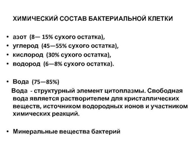 Когнитивная мощь бактерий, или как микробиота влияет на наш мозг