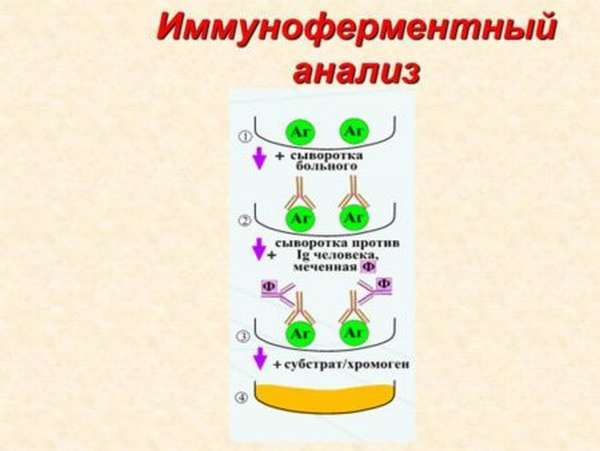 Диагностические методы определения туберкулеза