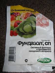Препарат фундазол: применение для растений и отзывы об использовании