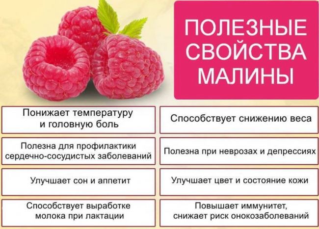 Малиновое варенье при простуде - польза и противопоказания