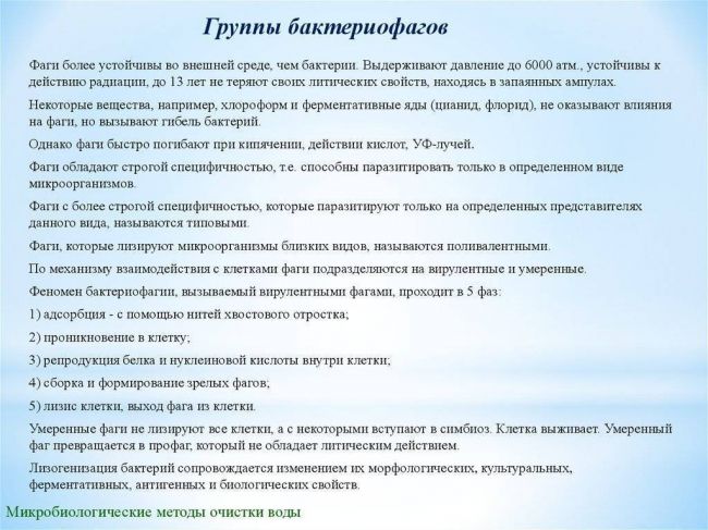 При какой температуре бактерии гибнут