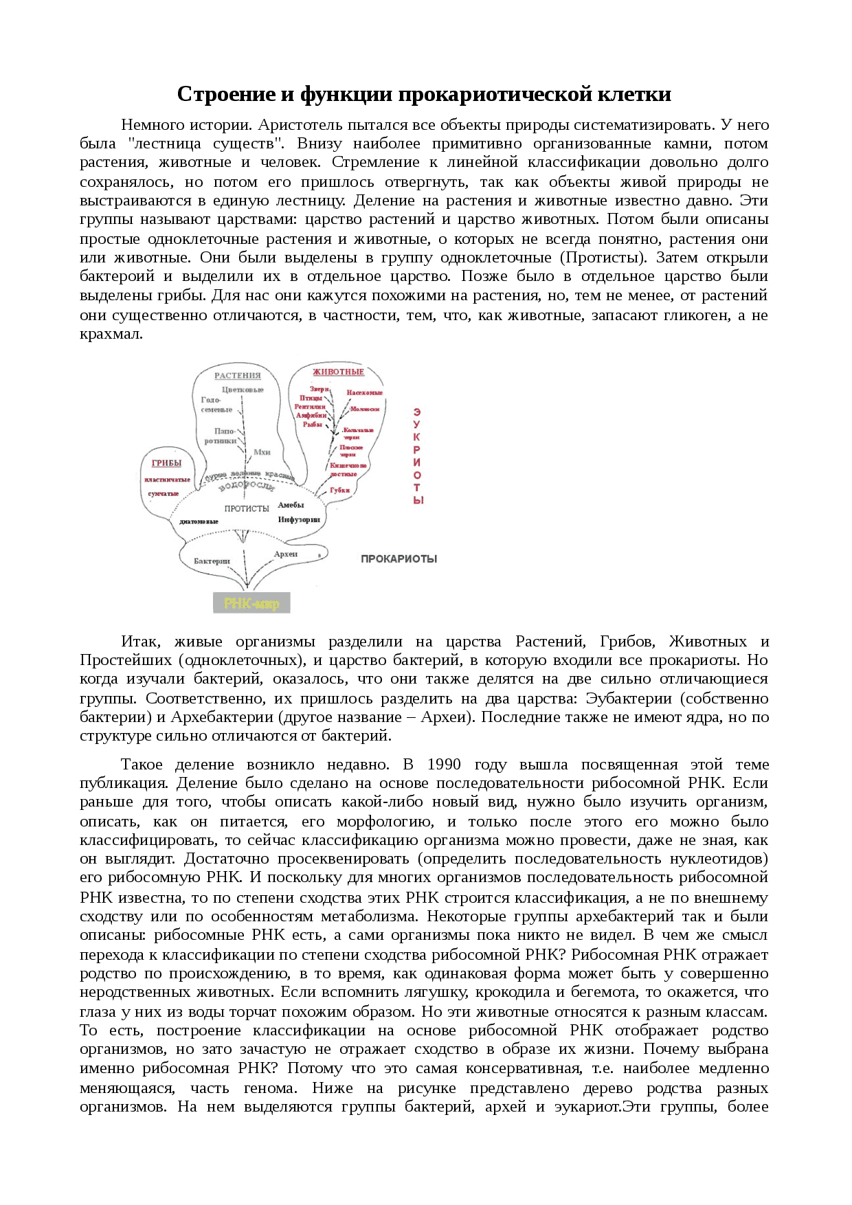 Функции, строение и особенности бактериальной оболочки