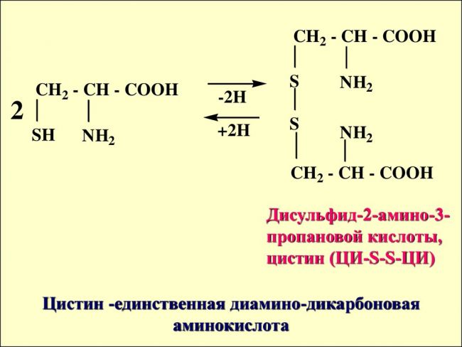 Слово цистин - что такое цистин? - значения слова, примеры употребления