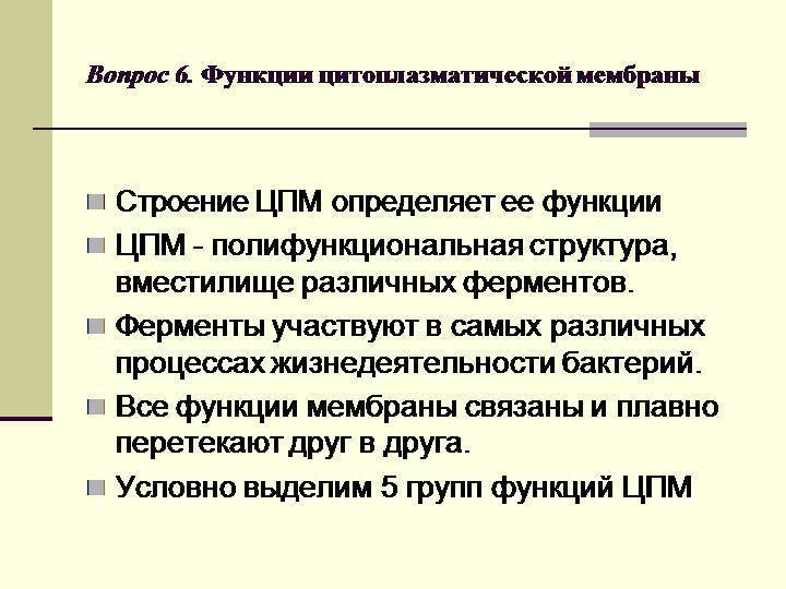 Мембрана бактерии: строение, особенности, функционал