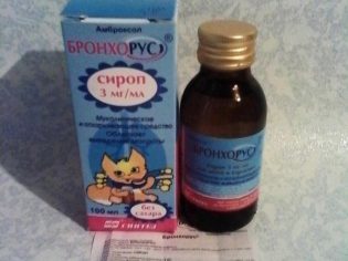Бронхорус