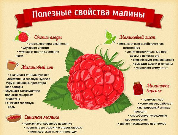 Листья малины при простуде детям