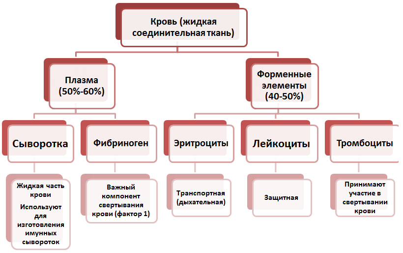 Что такое плазма крови