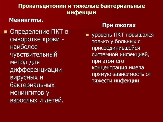 Исследовательская работа "вирусы и бактерии"