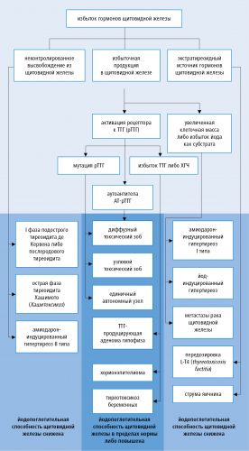 Диета для похудения при гипотиреозе щитовидной железы