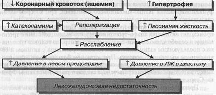 Факторы, влияющие на расслабление левого желудочка