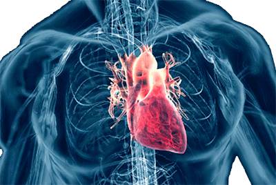 Сведения о заболевании