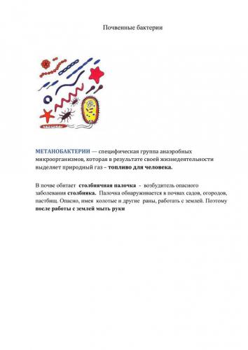 Классификация организмов. вирусы. бактерии. грибы. лишайники.