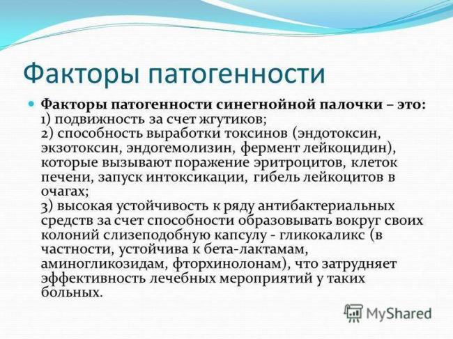 Синегнойная палочка. что это такое, лечение антибиотиками, народными средствами