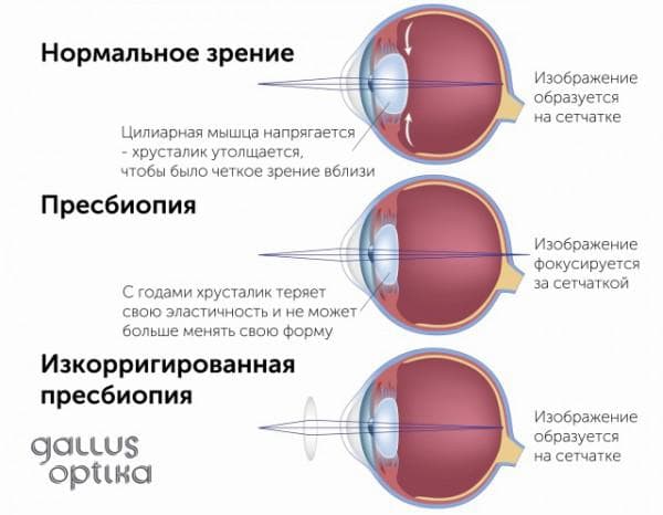 Очки без оправы мужские и женские