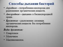 Анаэробные микроорганизмы