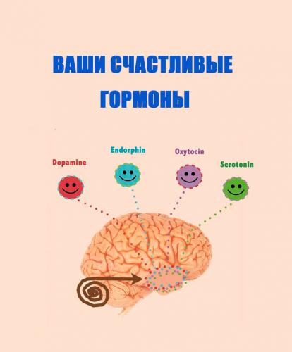 Гормоны голода и насыщения — sportwiki энциклопедия