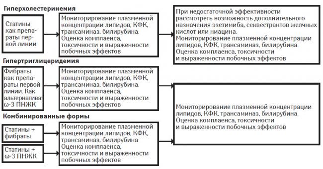 Питание для нормализации липидного обмена – гипохолестериновая диета
