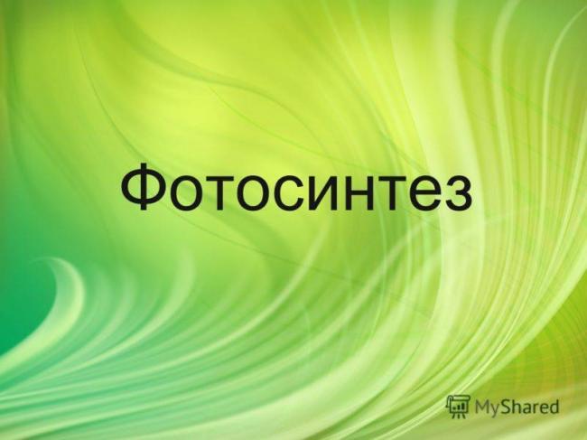 Фотосинтез, что это такое?