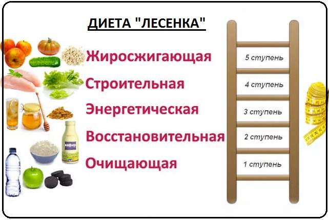 Диета «лесенка», или как похудеть на 3-5 кг за 5 дней – рацион.топ
диета «лесенка», или как похудеть на 3-5 кг за 5 дней — рацион.топ