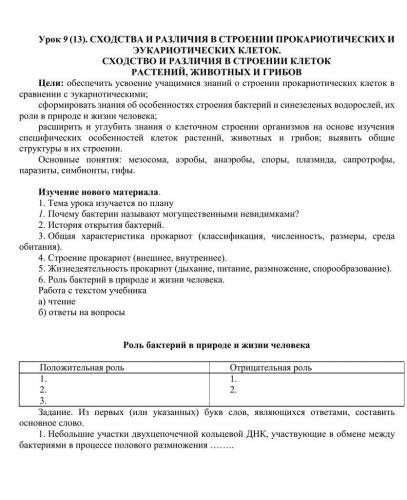 Эти уникальные одноклеточные бактерии