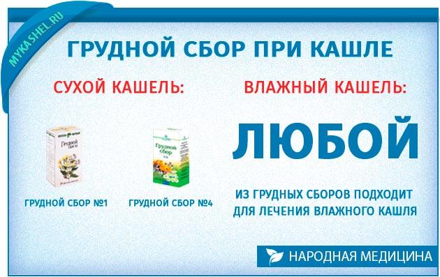Польза и вред подорожника