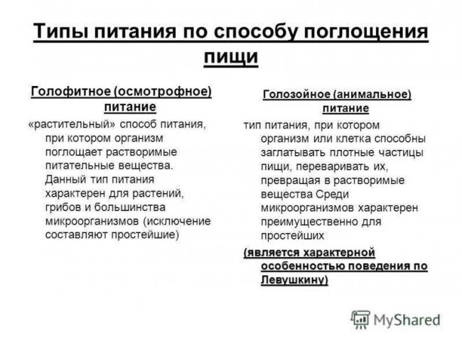Особенности кислотоустойчивых бактерий как экологического или лабораторного понятия