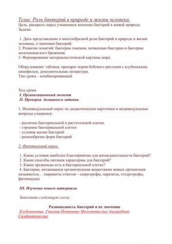 Роль бактерий в природе и жизни человека