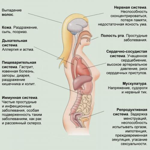 Гормон стресса кортизол: хотел как лучше, а получилось как всегда