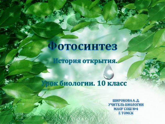 Тилакоиды – зеленые фабрики фотосинтеза
