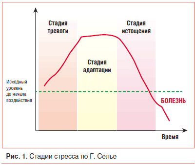 Кортизол: что делать, если гормон стресса повышен
