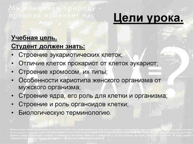 Секреты жизни в рибосомах бактерий