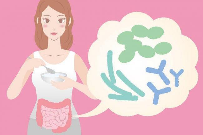 Бифидобактерии для кишечника и их полезные свойства | women planet