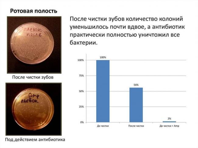 Кто правит миром – мы или бактерии?
