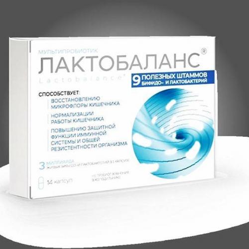 Кишечная палочка, бифидобактерии, лактобактерии — основа микрофлоры кишечника