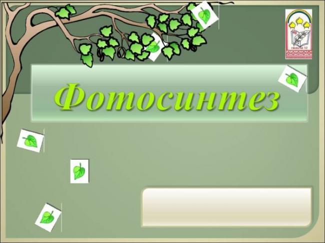 Фотосинтез, что это такое?