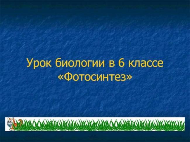 Тилакоиды – зеленые фабрики фотосинтеза