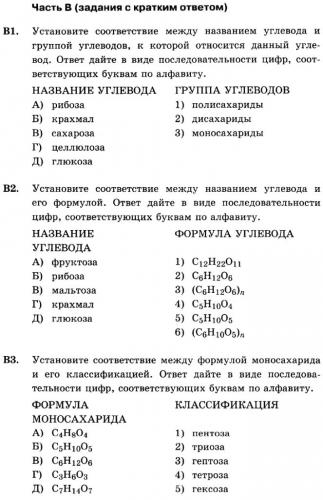 Функции углеводов в организме | krok8.com - фундаментальная стратегия развития