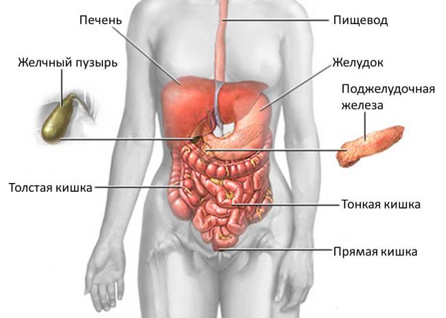 Что такое неинфекционный гастроэнтерит и колит неуточненный: симптомы, лечение и питание