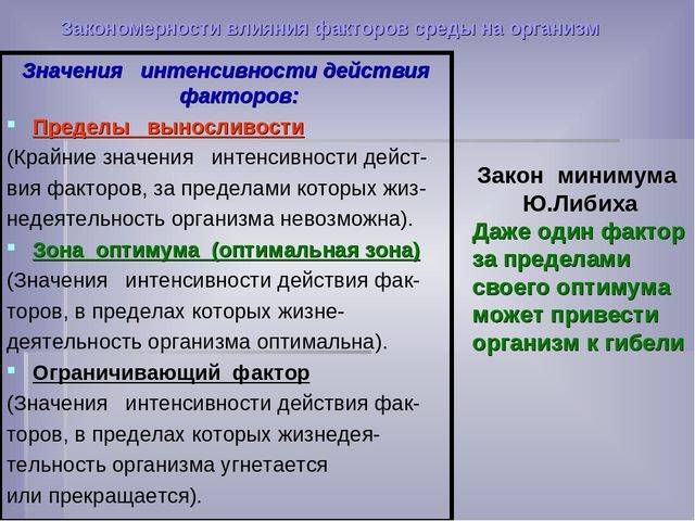 Жизнь на планете всем обязана анаэробным и аэробным бактериям