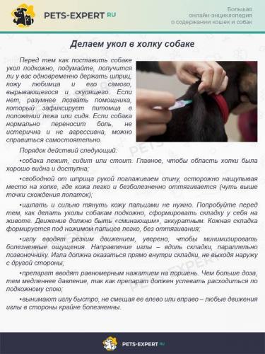 ОНСИОР РАСТВОР ДЛЯ ИНЪЕКЦИЙ инструкция по применению