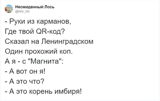 Суточная протеинурия: норма и отклонения