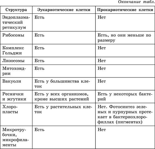 Основные органеллы бактериальной клетки