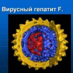 Что такое гепатит: симптомы и лечение заболевания в разной форме