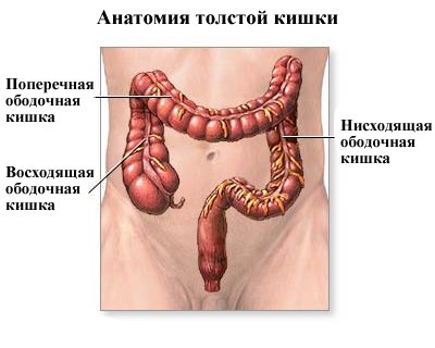Почему болит с левой стороны под ребрами