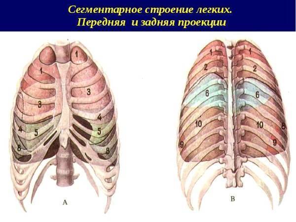 Дыхательная гимнастика при воспалении лёгких (пневмонии)