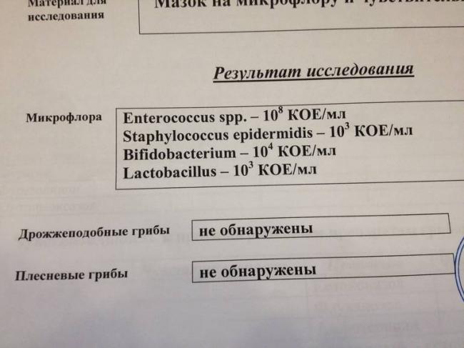 Все о фекальном энтерококке (enterococcus faecalis) в мазке у женщин: подробно и компетентно