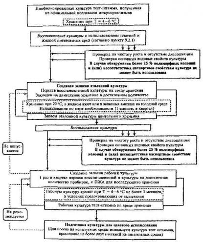 Оценка биологического фактора при специальной оценке условий труда - сибирский центр безопасности труда (сцбт): специальная оценка условий труда, обучение по охране труда, экологические проекты, производственный контроль