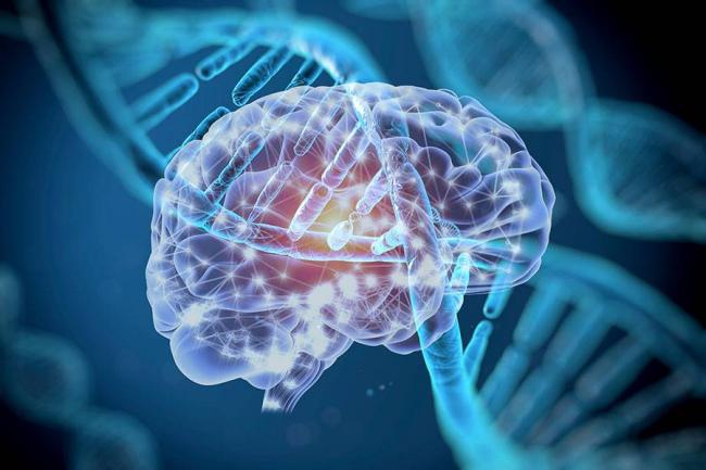 Обзор - генная инженерия бактерий - прикладная генетика - биология том 3 - biological science - руководство по общей биологии - тейлор д. - 2004