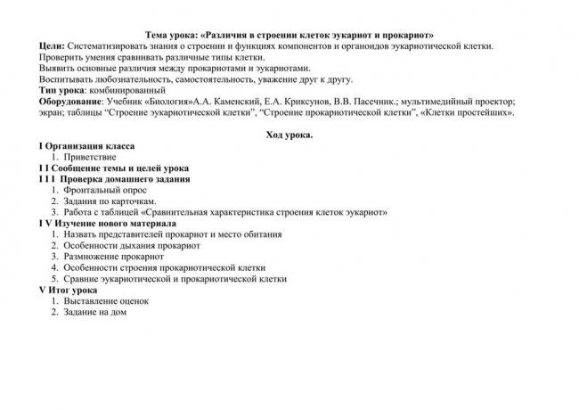 Кто такие эукариоты? являются ли они бактериями?