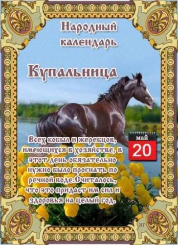Всемирный день врача-травматолога
